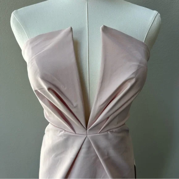 NWT Tobi Into The Night Strapless Dress in Blush - Picture 5 of 10